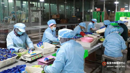 春節(jié)將至訂單增 臨夏市鄉(xiāng)村就業(yè)工廠奮力沖刺 開(kāi)門紅